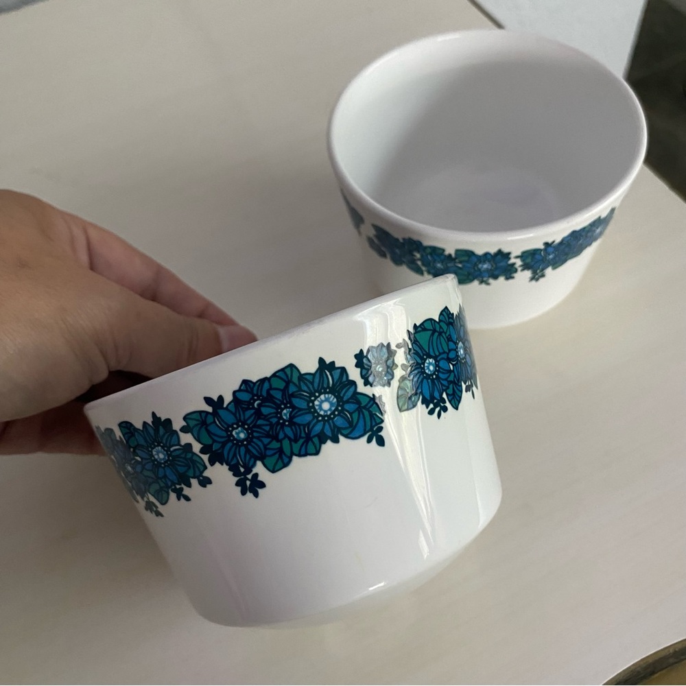 Centura Evening Song Fruit Bowls